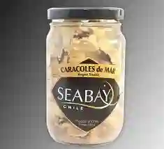 Caracoles de Mar Seabay