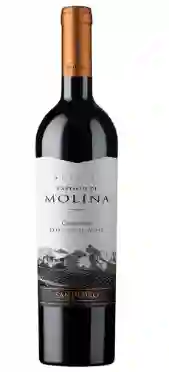 Vino Castillo De Molina Carmenere 750Cc