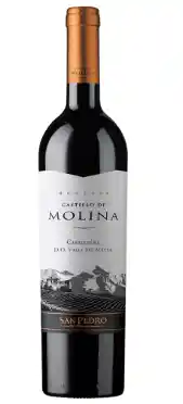 Vino Castillo De Molina Carmenere 750Cc