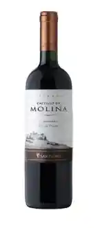 Vino Castillo De Molina Merlot 750Cc