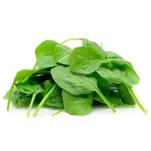 Sin Marca Hojas De Espinaca 500g