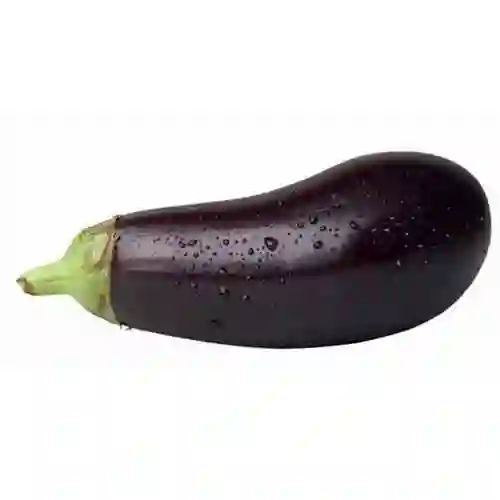 Berenjena Negra
