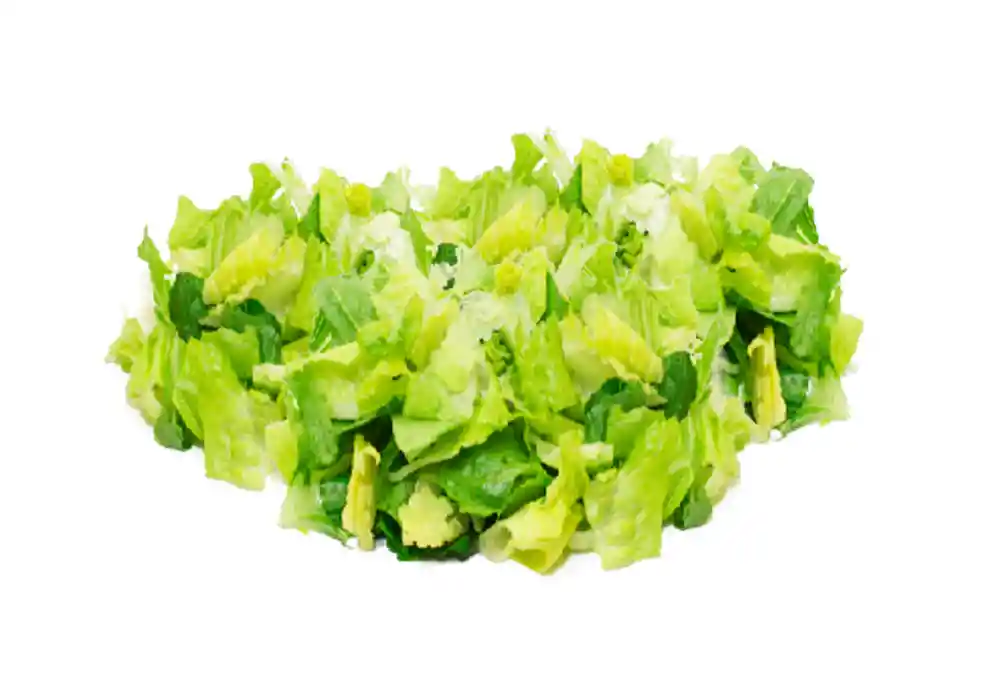 Lechuga Costina Super (Bolsa 1Kg)