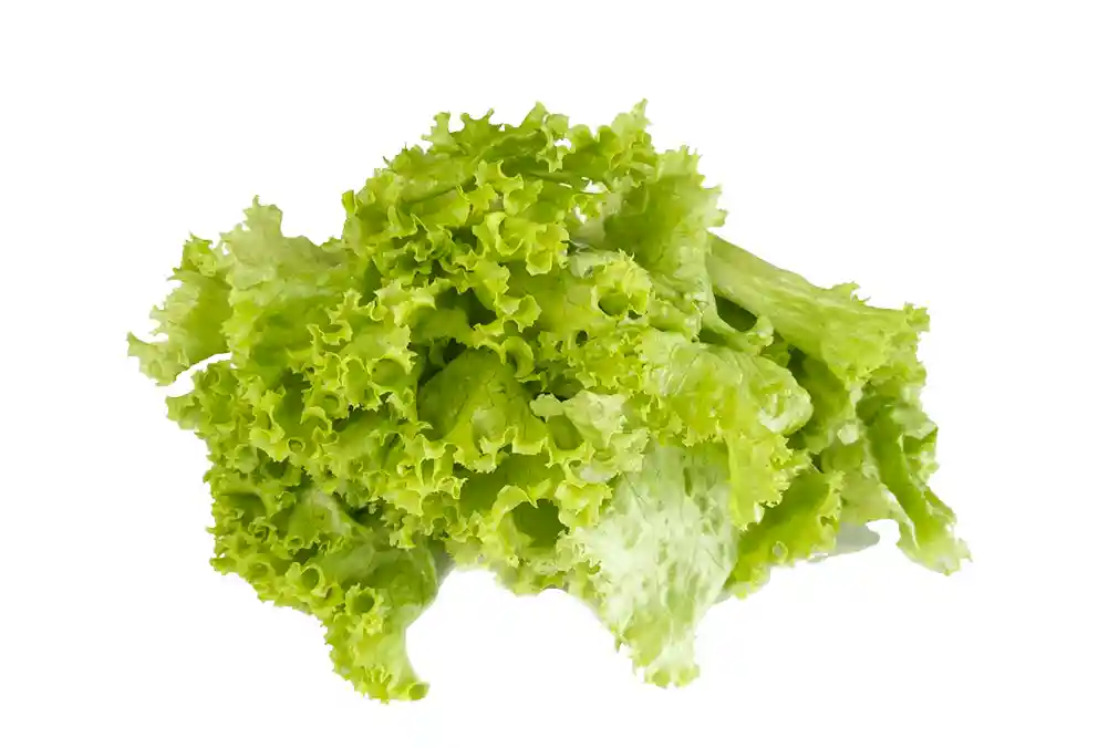 Lechuga Variedad (Bolsa 500Gr)