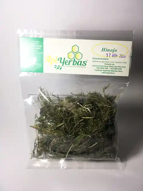Hinojo