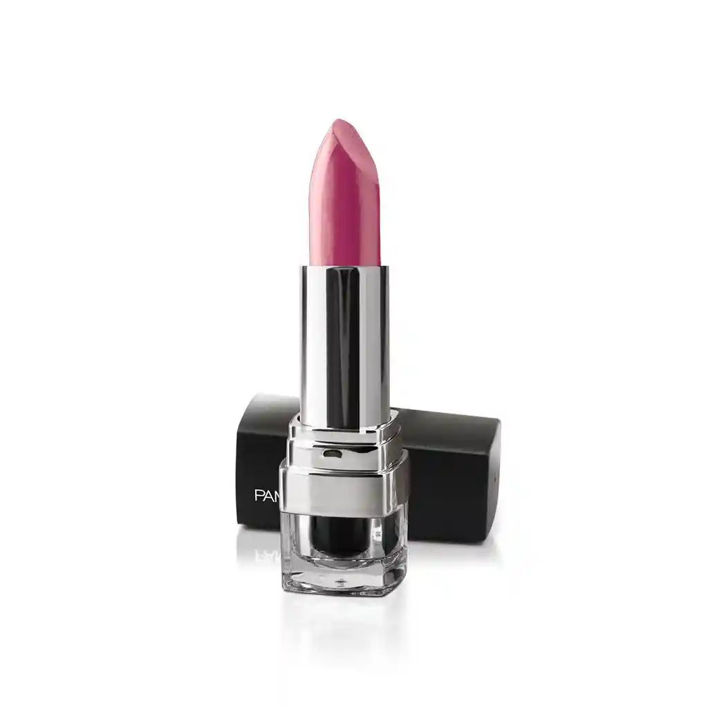 Pamela Grand Labial Hidratante 455