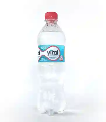 Agua Mineral Vital Sin Gas