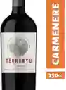 Terrunyo Vino Tinto Carmenere 750 cc