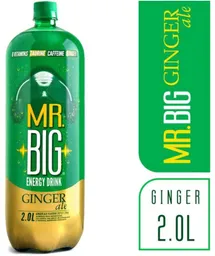 Big Bebida Energizante Ginger Ale 2 L. Mr.