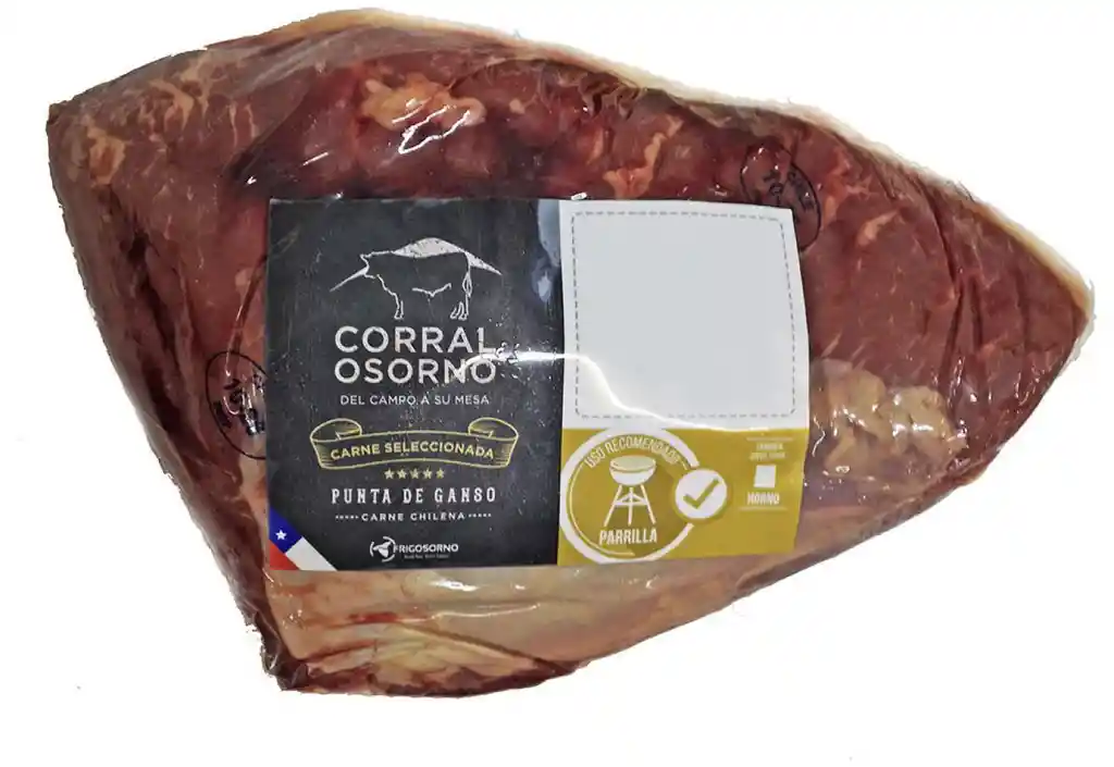 Corral Osorno Punta De Ganso Parrilla