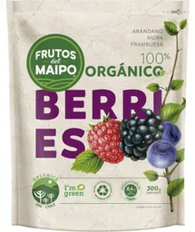 Frutos Del Maipo Berries Organicos