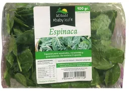 Hojas Baby Espinaca 100 gr, .