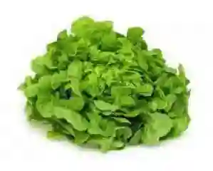 Lechuga Marina 1 Un, .