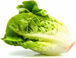 Lechuga Milanesa 200 g, .