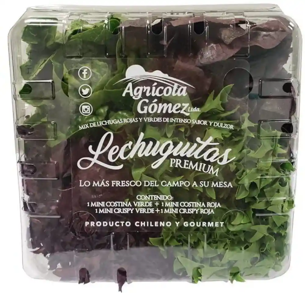 Lechuguitas Premium 1 Un