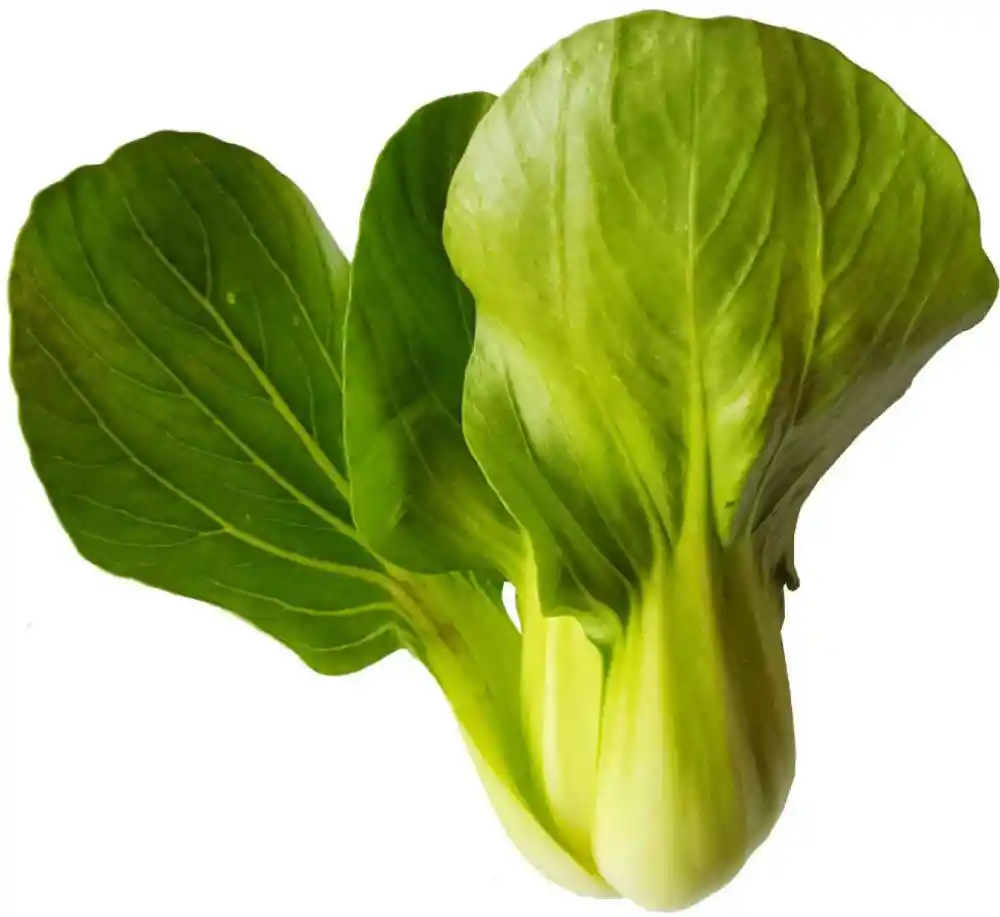 Pac Choi Mar 1 Un, .