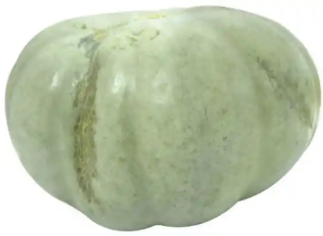 Lider Zapallo Entero