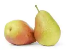 Pera Summer Bartlett