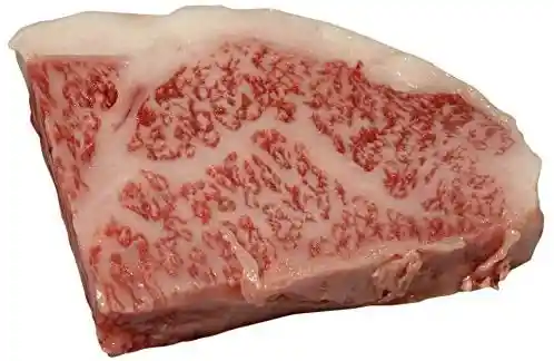 Filete de Wagyu