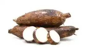 Yuca