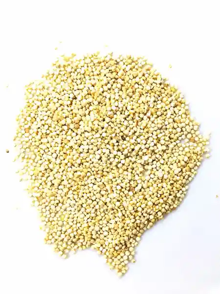 Quinoa