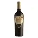 Apalta Vino Syrah Reserva San Jose 750Cc