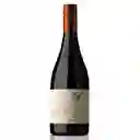 Vino Pinot Noir Th Undrraga 750cc