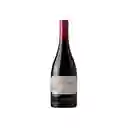 Vino Merlot Gran Reserva S/Ribera Cyt 750cc