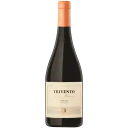 Trivento Vino Cabernet Syrah 750cc