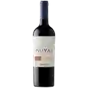 Novas Vino Cabernet Sauvignon 750Cc