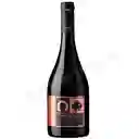 Haras Character  Vino Syrah 