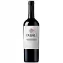 Tabali Pedregoso Gran Reserva C/S