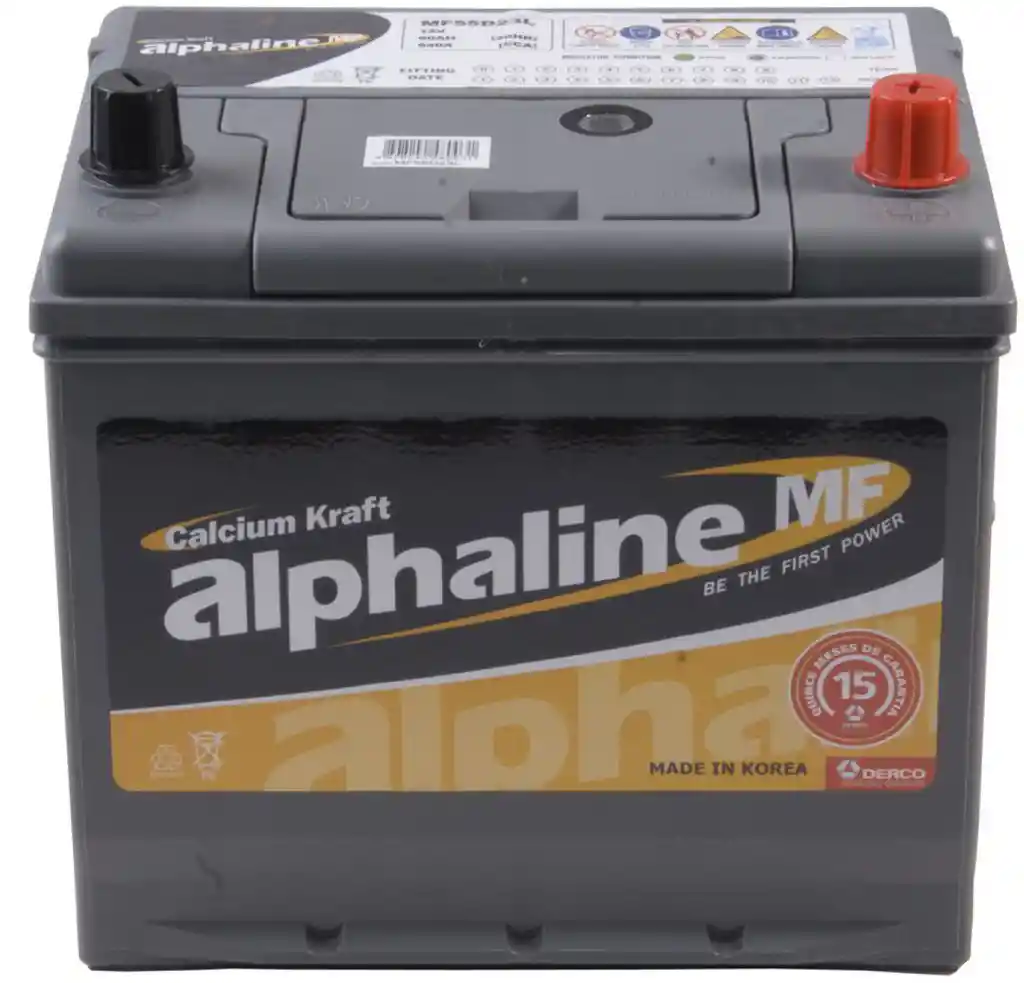 Bateria Alphaline 60AH D 1 Un