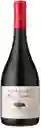 Vino Pinot Noir Gran Reserva 13° 750 cc