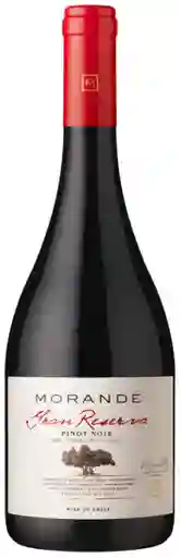 Vino Pinot Noir Gran Reserva 13° 750 cc