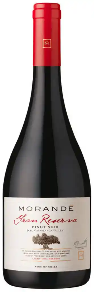 Vino Pinot Noir Gran Reserva 13° 750 cc