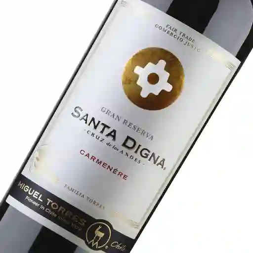 Caja 6 Unidades Vino Miguel Torres Santa Digna Carmenere 750ml