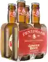 Fentimans Ginger Beer 200cc 4 Pack