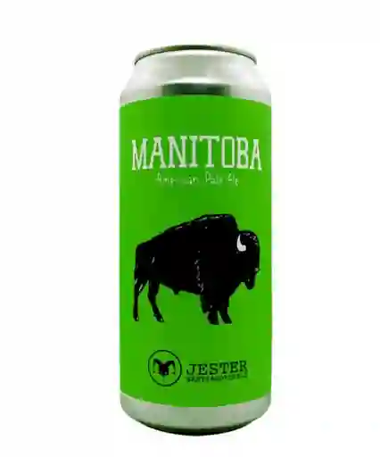 Jester Manitoba 473 ml