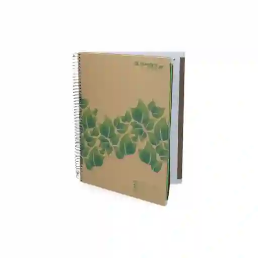 Rhein Green Cuaderno Carta Matemática 7 Mm