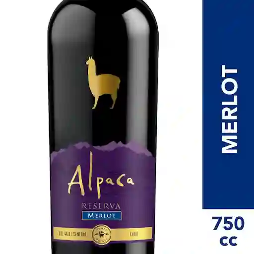 Alpaca Vino Tinto Merlot Reserva Botella