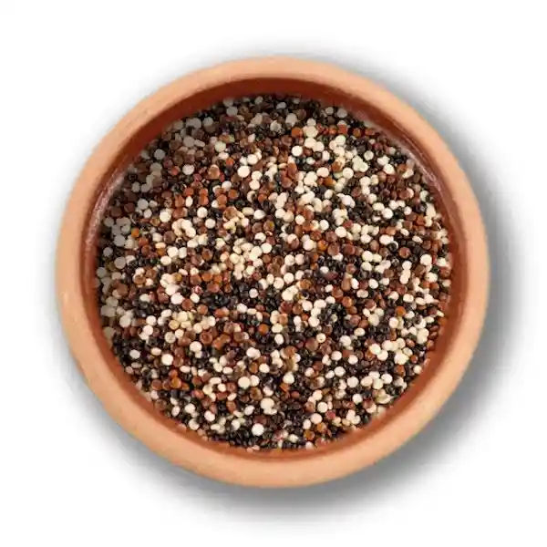 Quinoa Tricolor