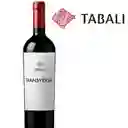 Tabali Transversal M-Ti Cs/Sy/Cf