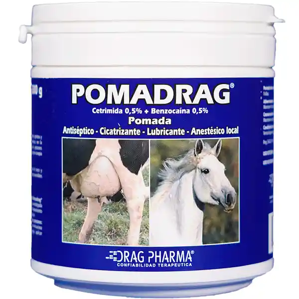 Pomadrag Antiséptico Local 500 g