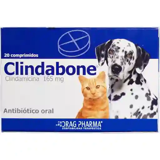 clindabOne antibiotico oral en comprimidos