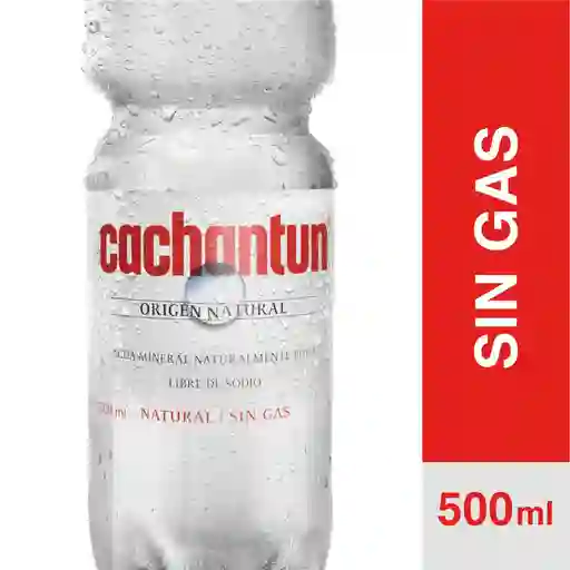 Agua Mineral 500 ml Sin Gas