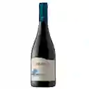 Amaral Premium Syrah