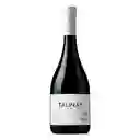 Tabali Talinay Syrah