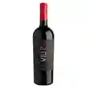 Viu Manent Viu 8 Cuvee Infinito Cabernet Sauvignon