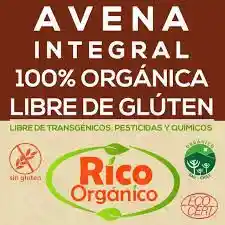 avena Íntegral 100% organica libre de gluten